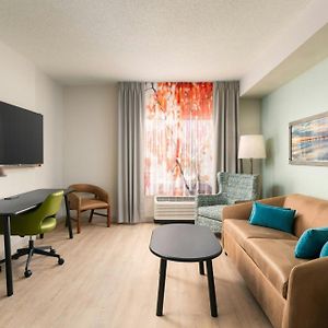 Suite Lit King-Size